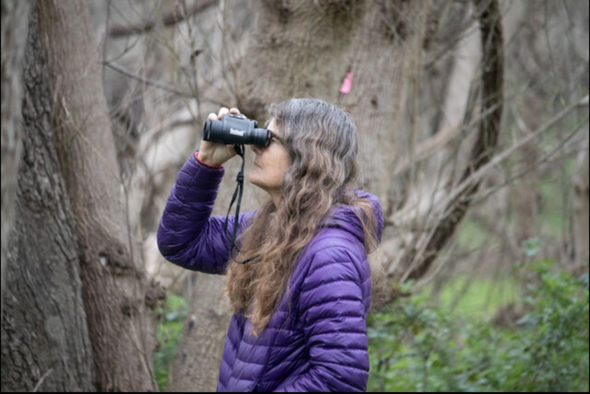 Discovery Center Specialist Niki Lake looks for birds during the "Bitty Bird Lover's Hike", Friday, Feb. 14, 2025 at the Wildlife Annex Park. The event was hosted by the San Marcos Discovery Center as apart of the Great Backyard Bird Count.